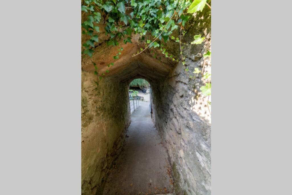 Maison troglodytique Doué La Fontaine Esterno foto